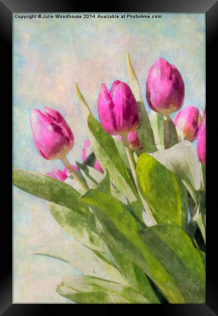 Tulips Framed Print by Julie Woodhouse