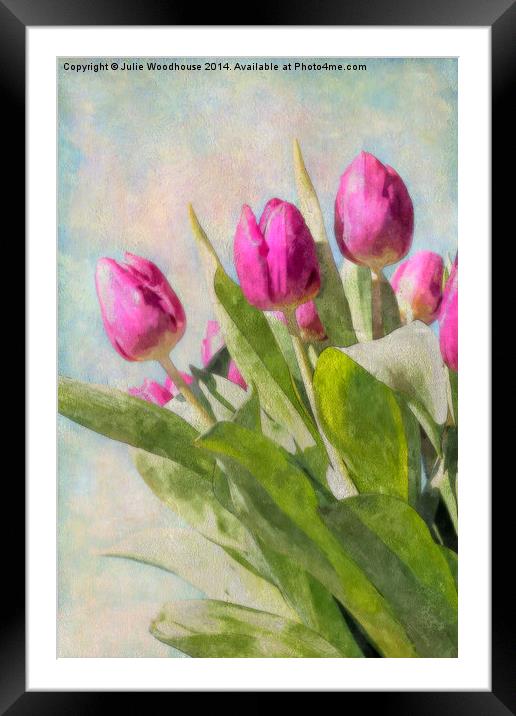 Tulips Framed Mounted Print by Julie Woodhouse