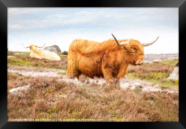 Highland Cattle Framed Print by Julie Woodhouse