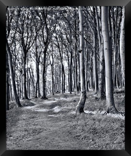 Rugen forest Framed Print by Julie Woodhouse