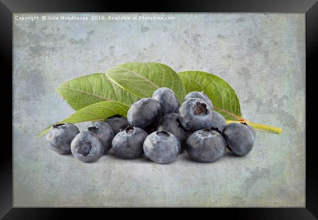 Blueberries Framed Print by Julie Woodhouse