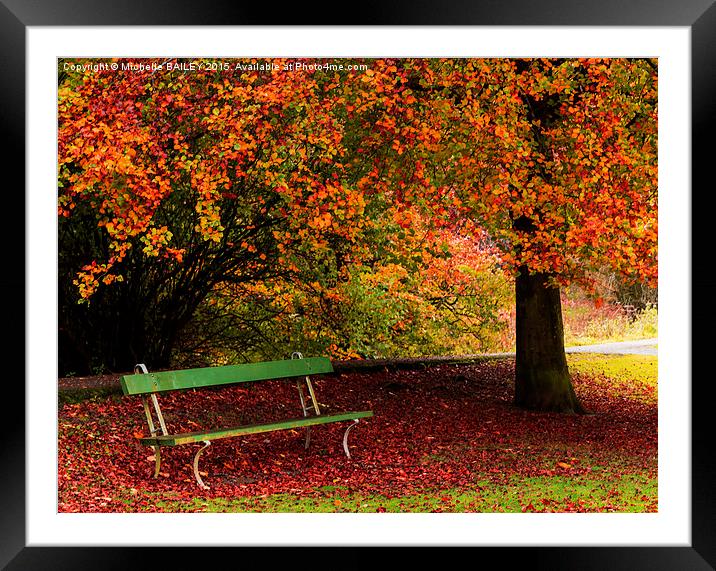  Beech and Bench Framed Mounted Print by Michelle BAILEY