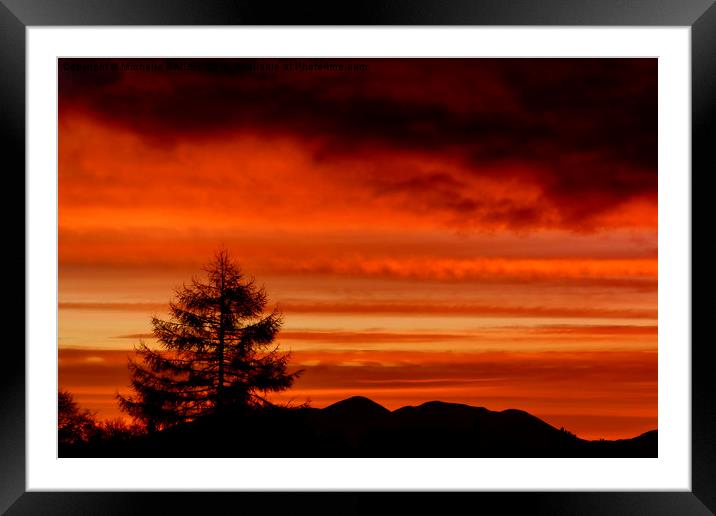 Sunset Silhouettes Framed Mounted Print by Michelle BAILEY