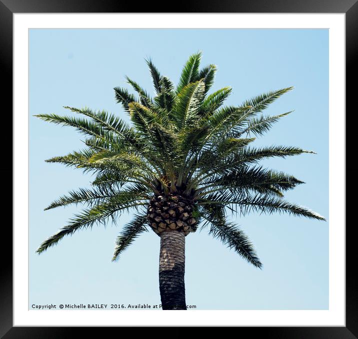 Palm Tree 2 Framed Mounted Print by Michelle BAILEY