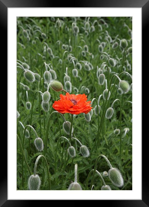 alone in a crowd Framed Mounted Print by John Keates