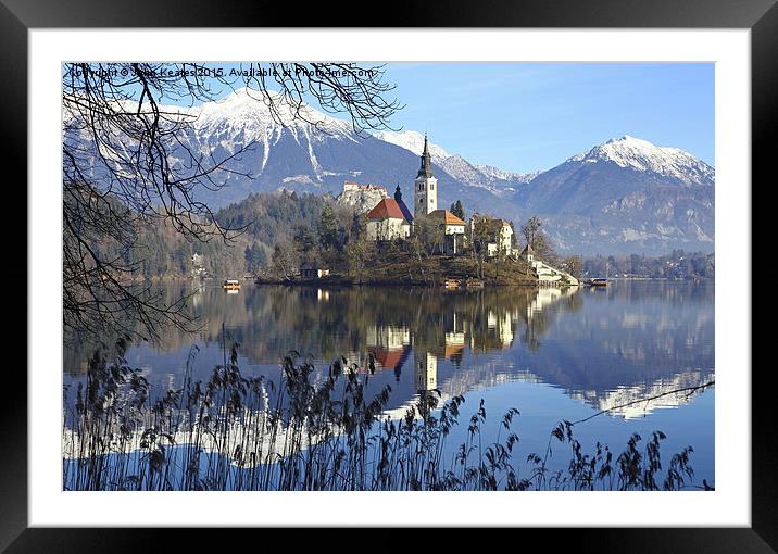 Church of the Assumption of Mary on Bled Island La Framed Mounted Print by John Keates