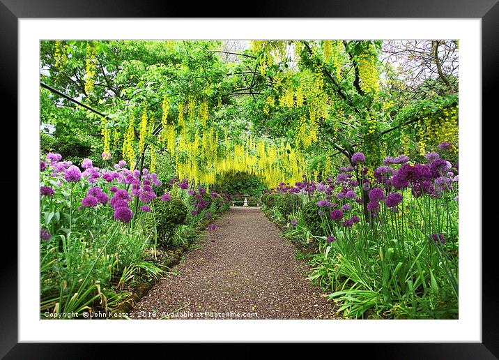 Laburnum arch at Dorothy Clive Gardens Stoke-on-Tr Framed Mounted Print by John Keates