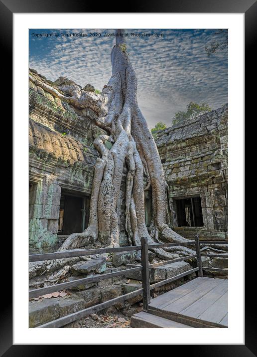 Tree roots at Ta Prohm temple Cambodia  Framed Mounted Print by John Keates