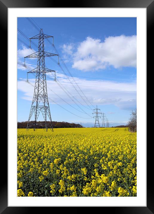 Pylons in Rapeseed Framed Mounted Print by John Atkins