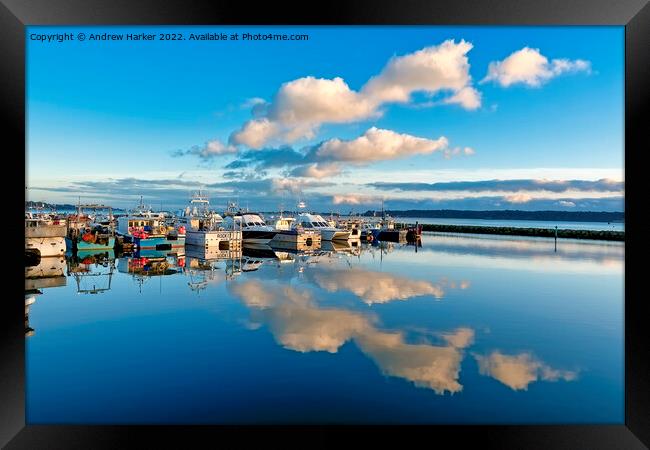 Boats moored at Fishermans Dock in Poole, Dorset Framed Print by Andrew Harker