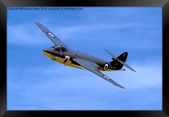 Hawker Sea Hawk FGA.6  Framed Print by Andrew Harker