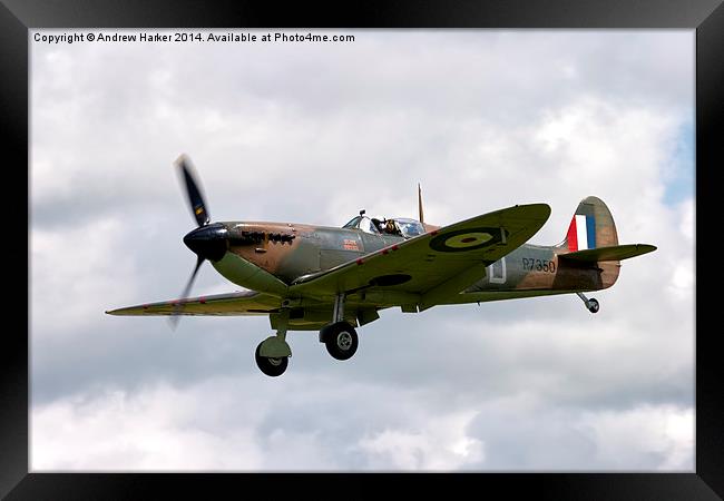 Supermarine Spitfire LF Mk IIa Framed Print by Andrew Harker