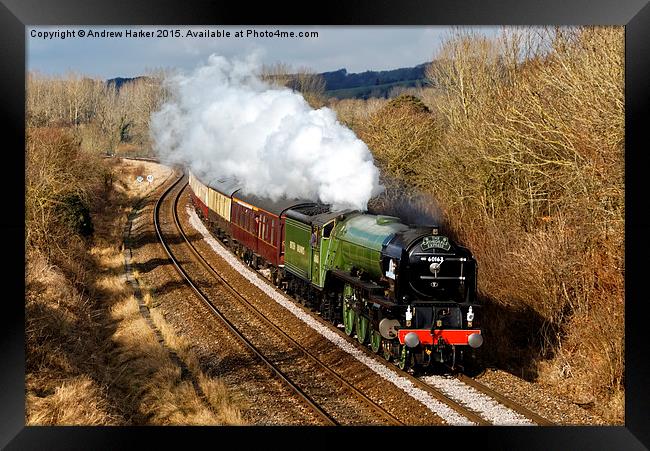 Peppercorn class steam locomotive Tornado Framed Print by Andrew Harker