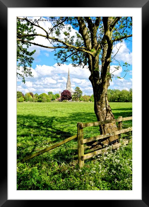 Salisbury Cathedral, Wiltshire, United Kingdom Framed Mounted Print by Andrew Harker
