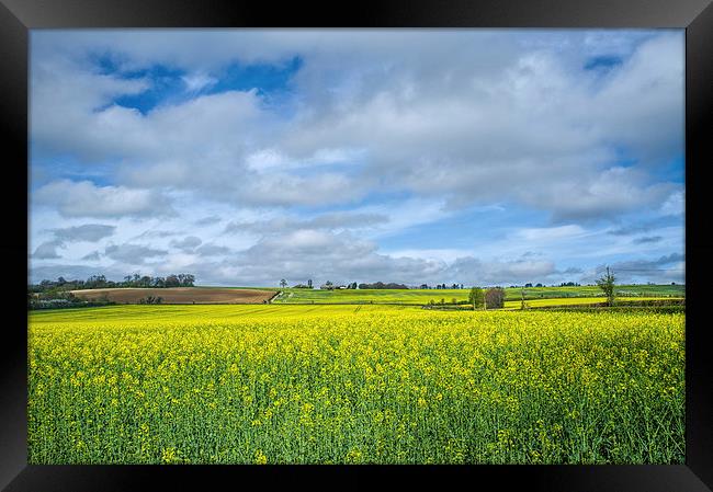 Some yellow...some blue Framed Print by