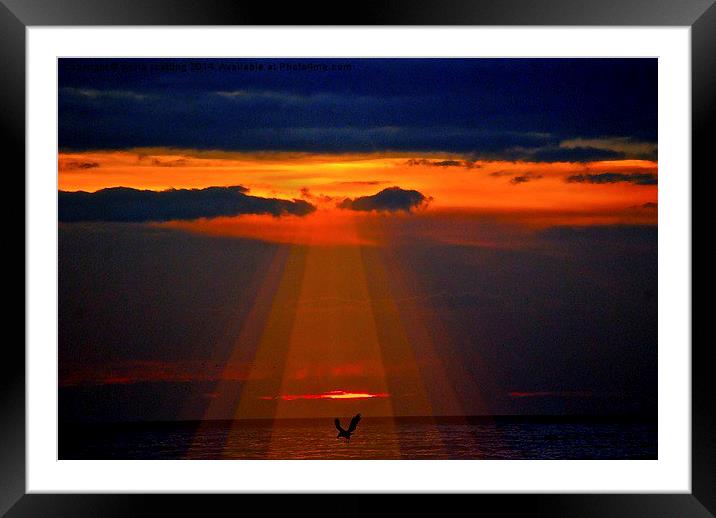 Rays Of Sun Framed Mounted Print by sylvia scotting