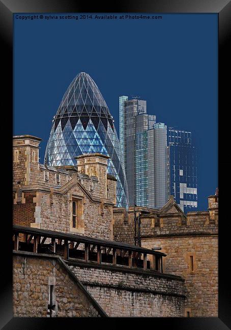  The Gherkin London  Framed Print by sylvia scotting