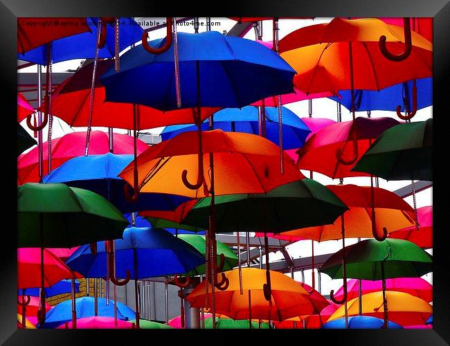  A shower of umbrellas  Framed Print by sylvia scotting