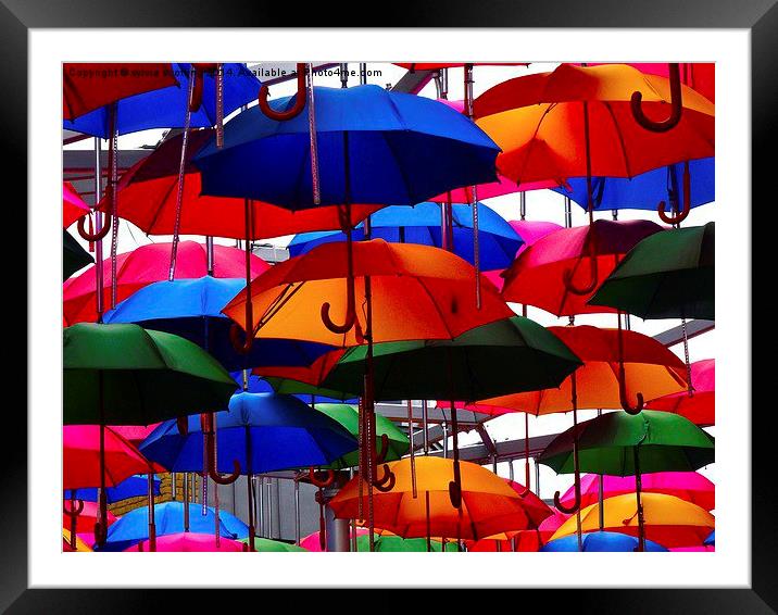  A shower of umbrellas  Framed Mounted Print by sylvia scotting