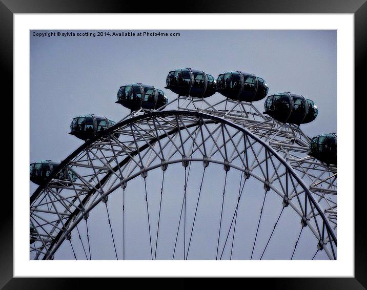  The London Eye  Framed Mounted Print by sylvia scotting