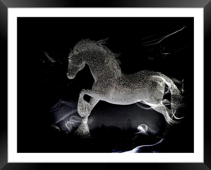  Wonder Horse Framed Mounted Print by sylvia scotting