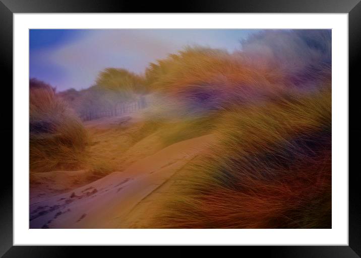  Coloured Grass Framed Mounted Print by sylvia scotting