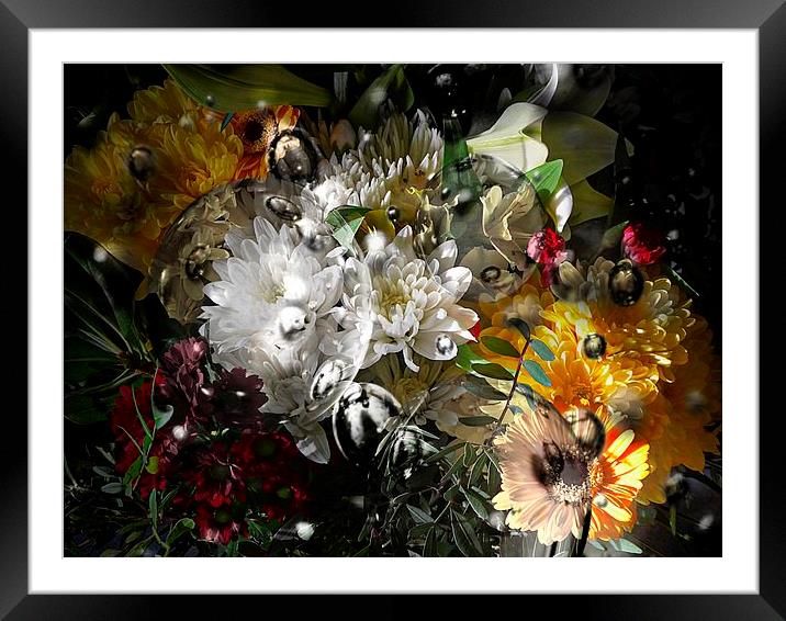 Stunning Bouquet  Framed Mounted Print by sylvia scotting