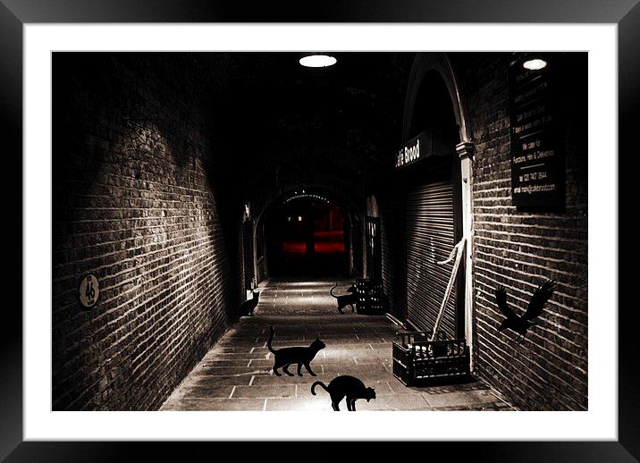  Alley Cats Framed Mounted Print by sylvia scotting