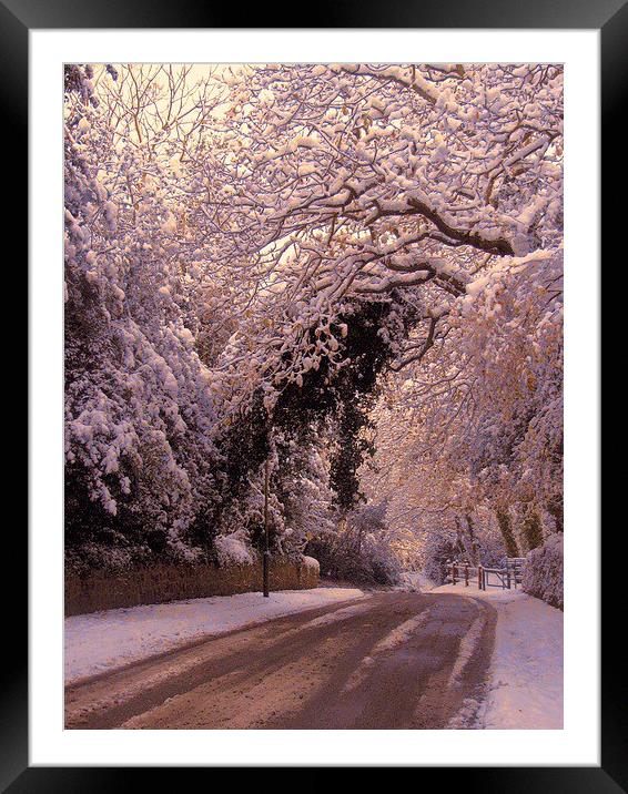  Late afternoon snow Framed Mounted Print by sylvia scotting
