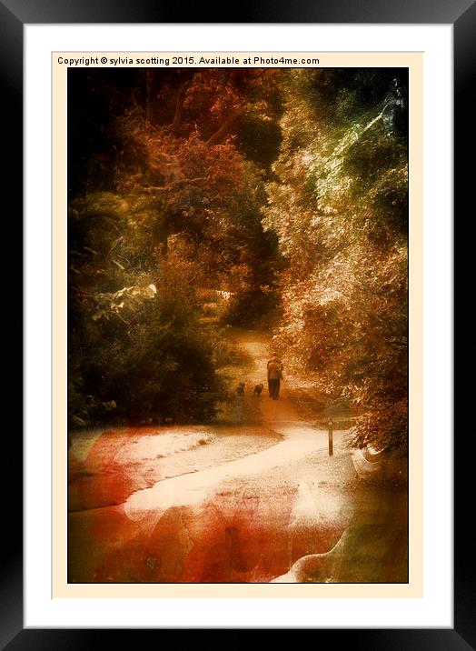  Just walking the dogs Framed Mounted Print by sylvia scotting