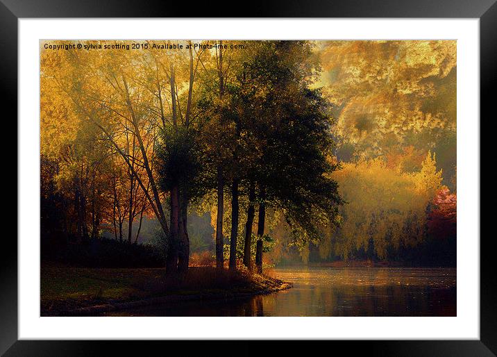  Golden Morning in Kent Framed Mounted Print by sylvia scotting