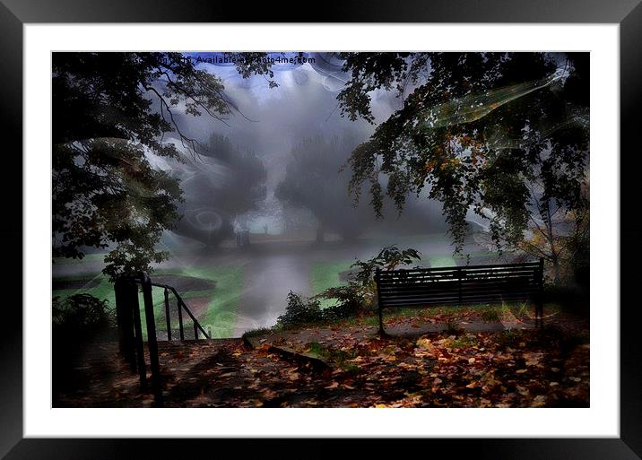 Into the mist  Framed Mounted Print by sylvia scotting