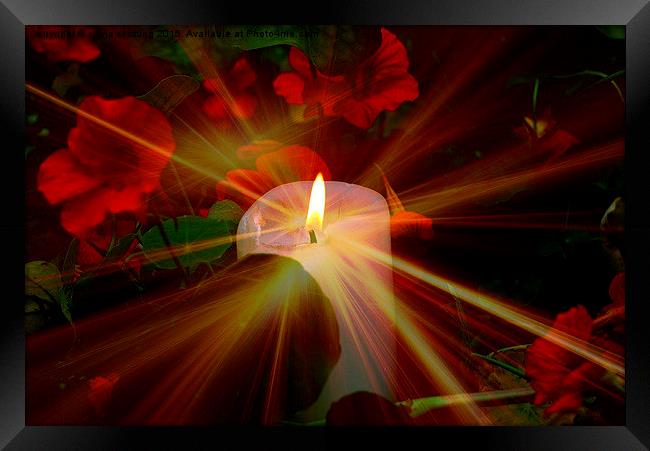  Candle in the night for world peace Framed Print by sylvia scotting