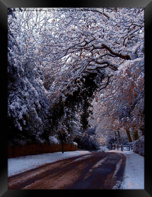 A winters tale Framed Print by sylvia scotting
