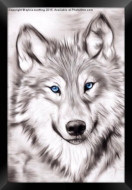  The Wolf Framed Print by sylvia scotting