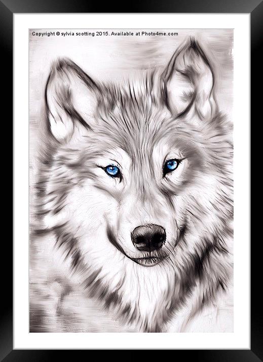  The Wolf Framed Mounted Print by sylvia scotting