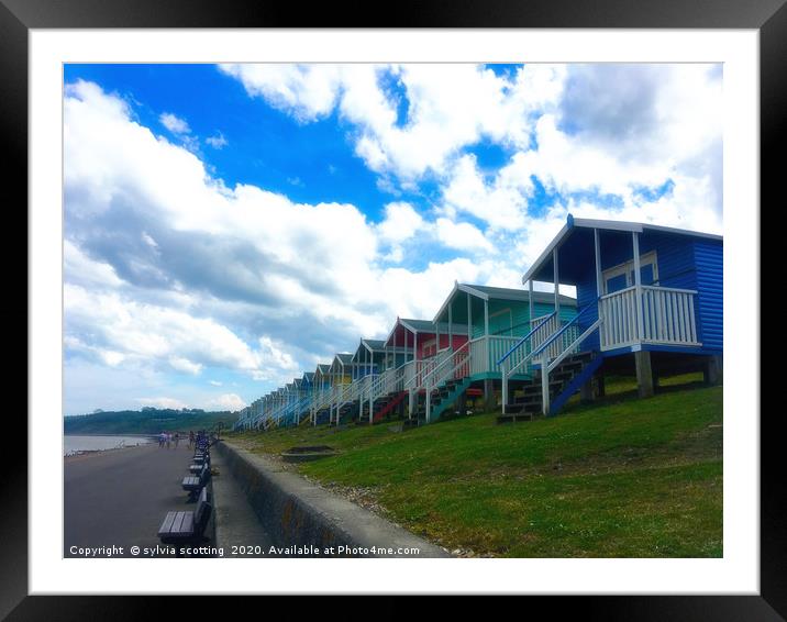 Beach-huts Framed Mounted Print by sylvia scotting