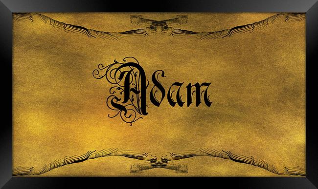 The Name Adam In Old Word Calligraphy Framed Print by George Cuda