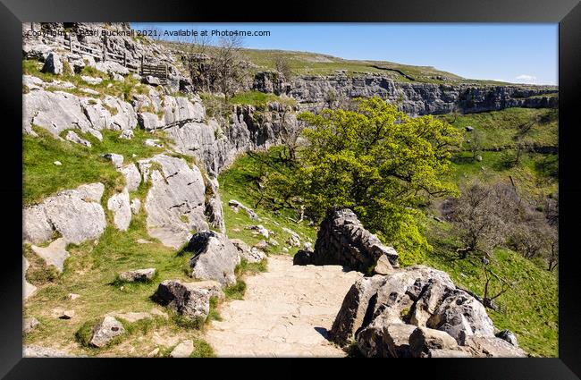 Pennine Way Path by Malham Cove Yorkshire Dales Framed Print by Pearl Bucknall