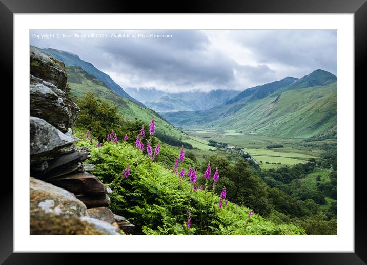 Nant Ffrancon Snowdonia Landscape Wales Framed Mounted Print by Pearl Bucknall