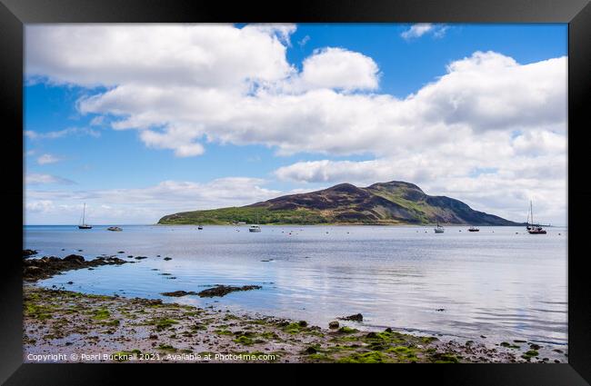 Holy Isle Arran Island Scotland Framed Print by Pearl Bucknall
