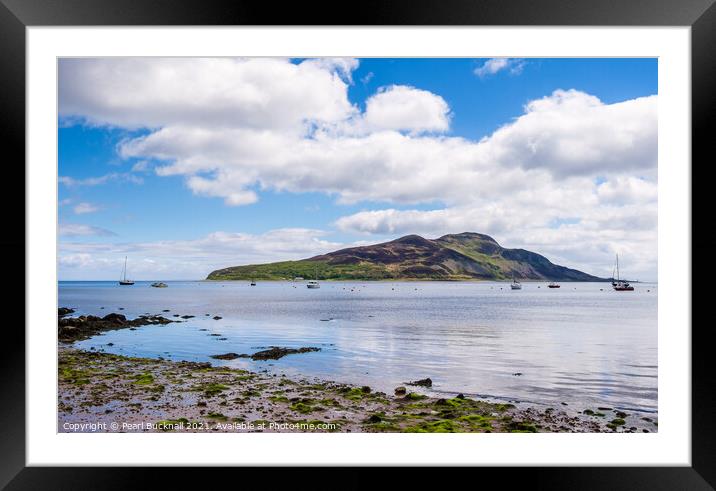 Holy Isle Arran Island Scotland Framed Mounted Print by Pearl Bucknall