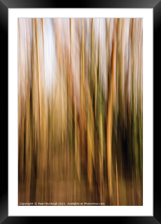 Blurred Woodland Trees Abstract Framed Mounted Print by Pearl Bucknall