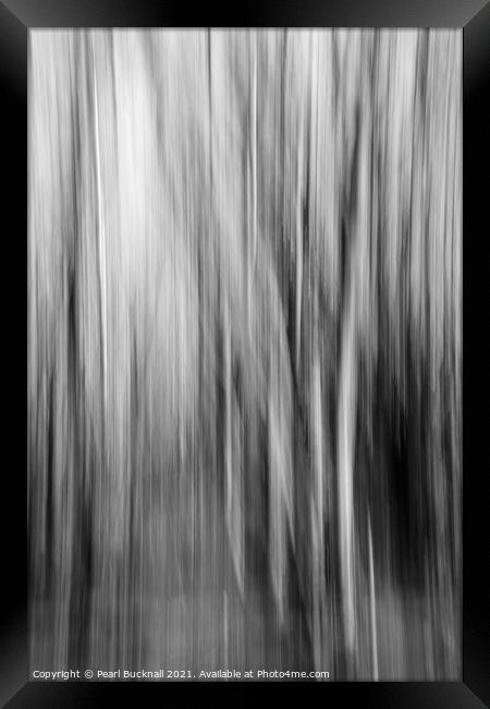 Blurred Tree Trunks Abstract Black and White Framed Print by Pearl Bucknall