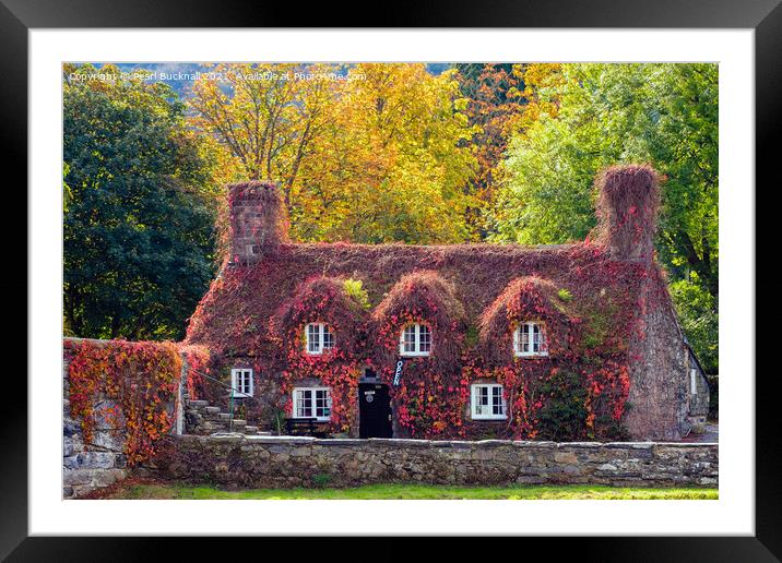 Tu Hwnt i'r Bont Llanrwst Autumn Wales Framed Mounted Print by Pearl Bucknall
