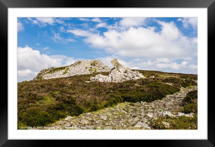 Shropshire Way Path by Stiperstones  Framed Mounted Print by Pearl Bucknall