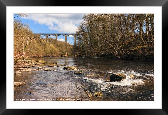 River Dee and Pontcysyllte Aqueduct Framed Mounted Print by Pearl Bucknall