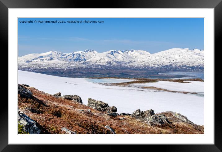 Arctic Tundra and Snow-capped Mountains in Norway Framed Mounted Print by Pearl Bucknall