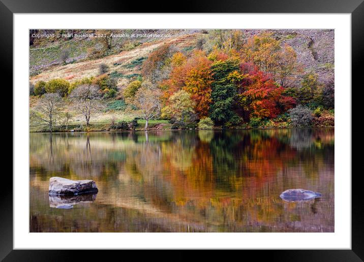 Autumn Reflections in Llyn Geirionydd Lake Framed Mounted Print by Pearl Bucknall