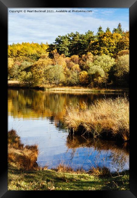 Autumn at Llyn Geirionydd Lake Snowdonia Framed Print by Pearl Bucknall